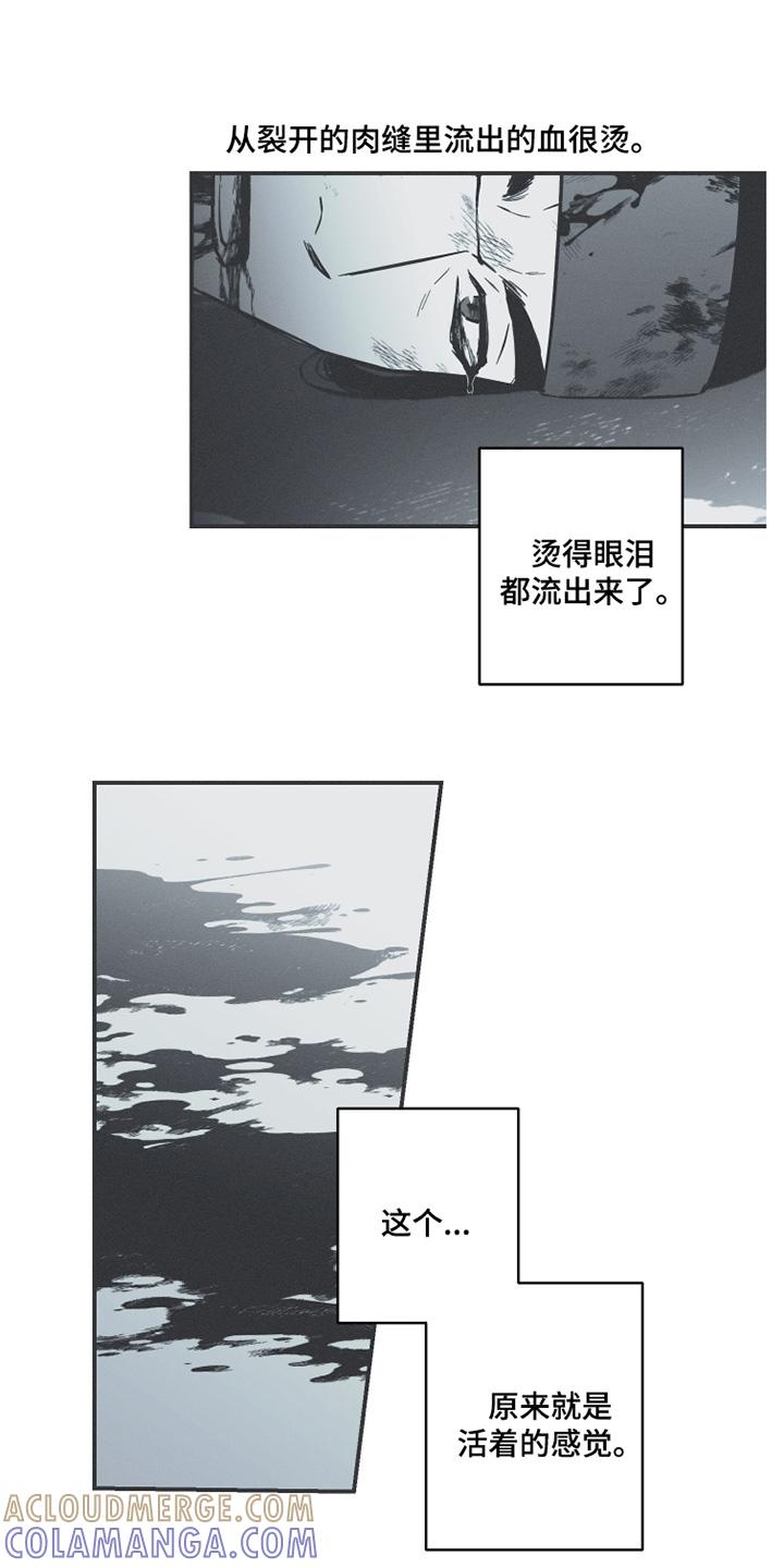 《蛇环凶危》第123章：【第三季】出战 第17页