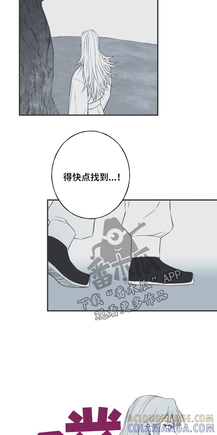 《蛇环凶危》第124章：【第三季】刺杀 第17页