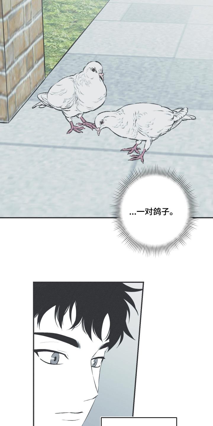 《蛇环凶危》第128章：【第三季】你没事吧 第6页