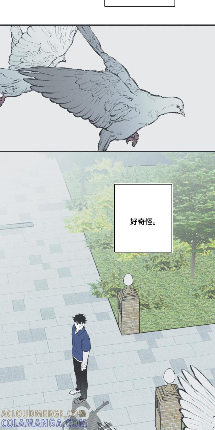 《蛇环凶危》第128章：【第三季】你没事吧 第9页