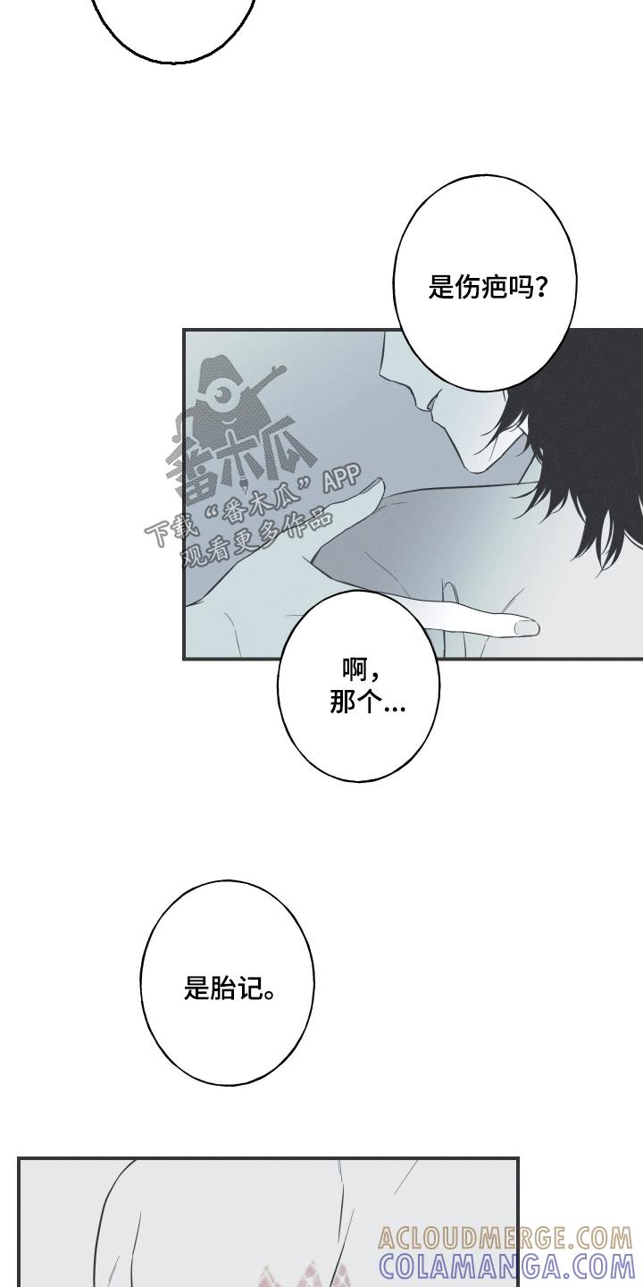 《蛇环凶危》第130章：【第三季】胎记 第17页