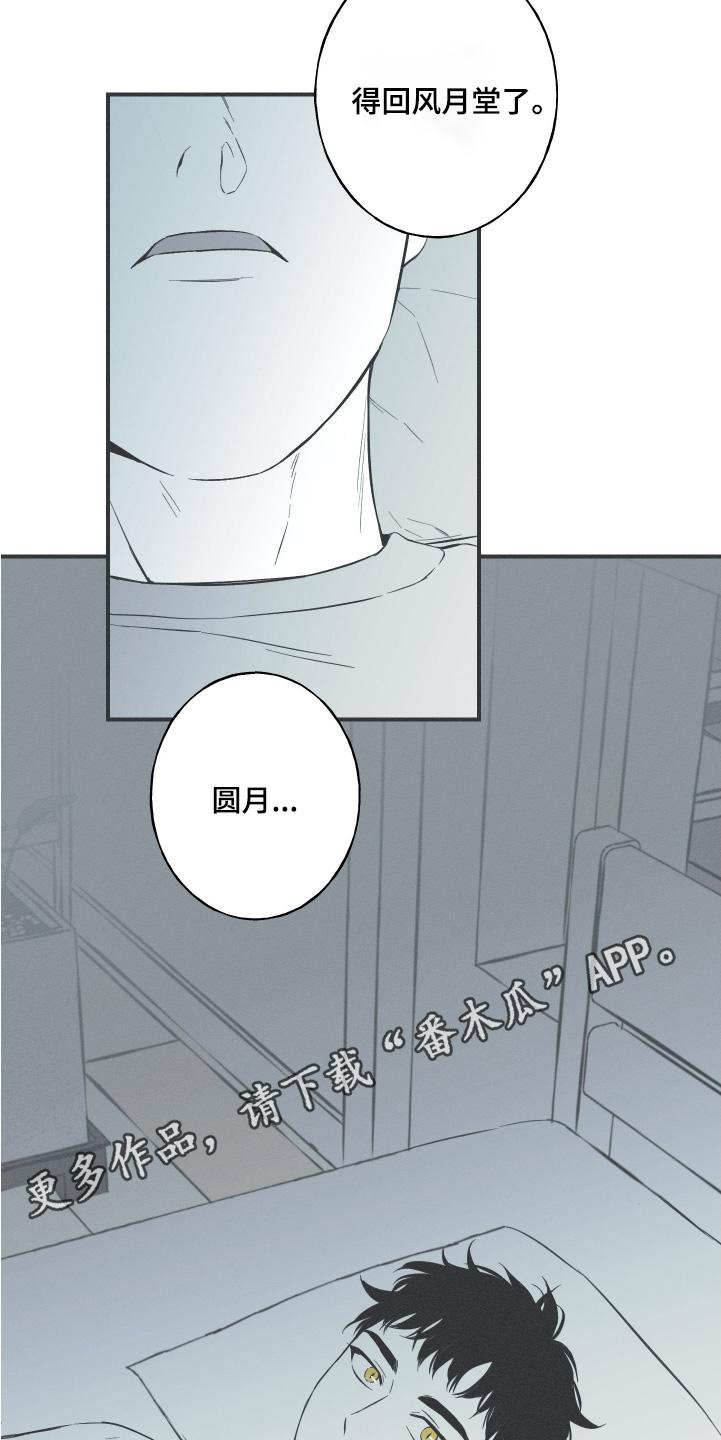 《蛇环凶危》第131章：【第三季完结】不是同一个人 第18页