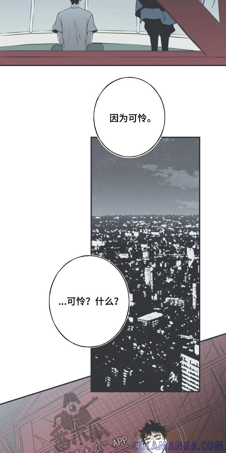 《蛇环凶危》第133章：【第四季】幻觉 第7页
