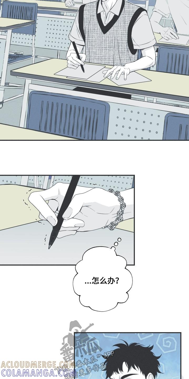 《蛇环凶危》第136章：【第四季】最后一天 第13页