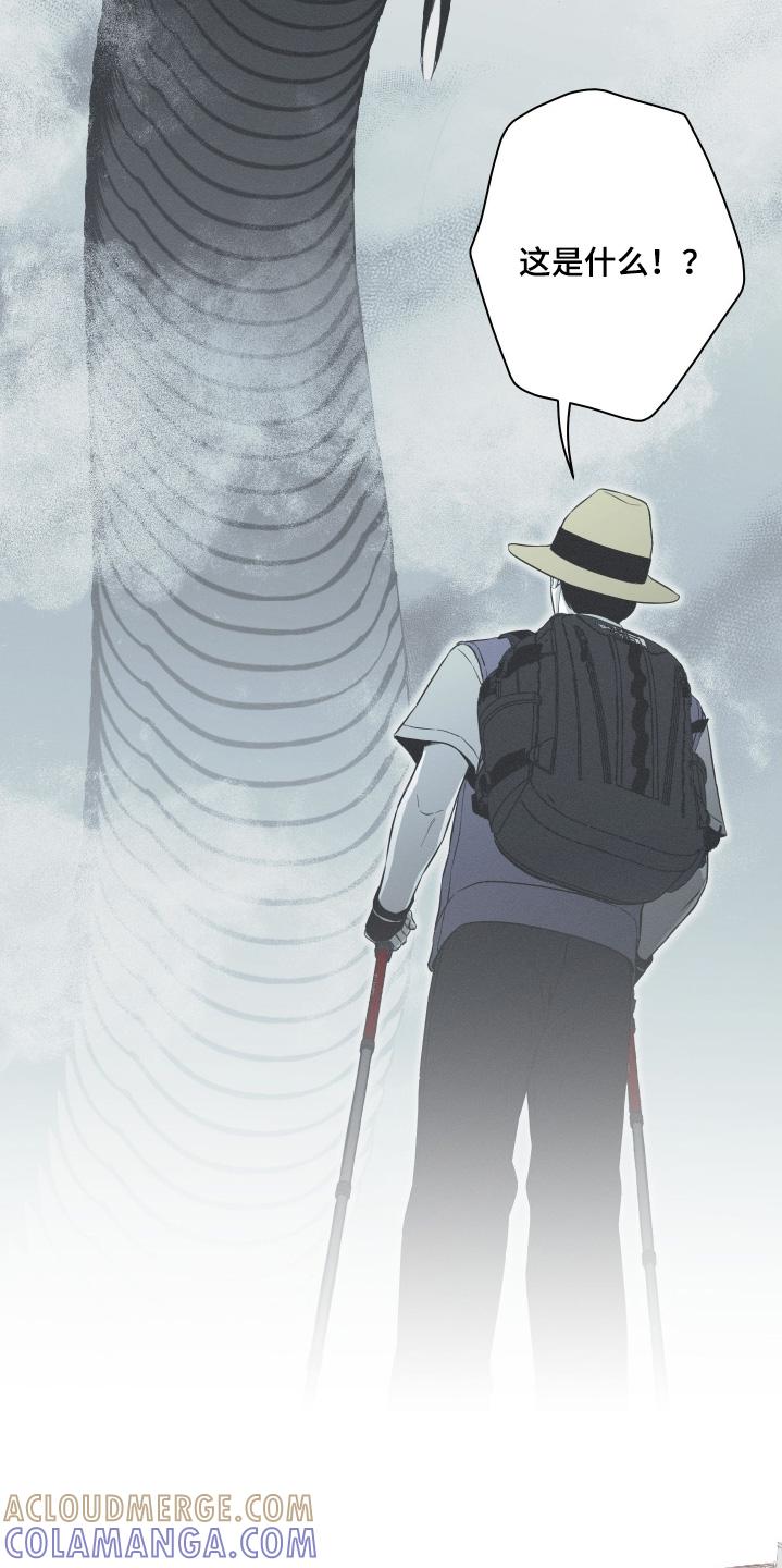 《蛇环凶危》第136章：【第四季】最后一天 第11页