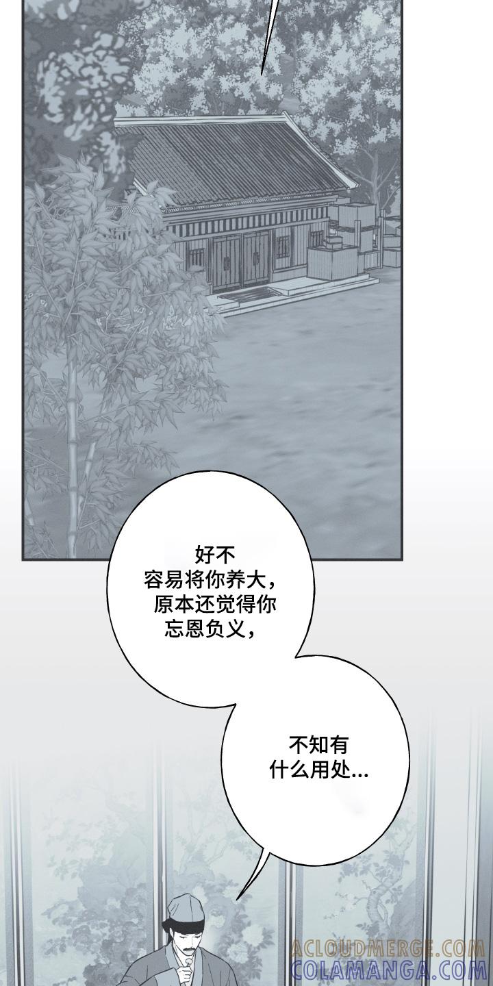 《蛇环凶危》第147章：【第四季】证明我是谁 第17页