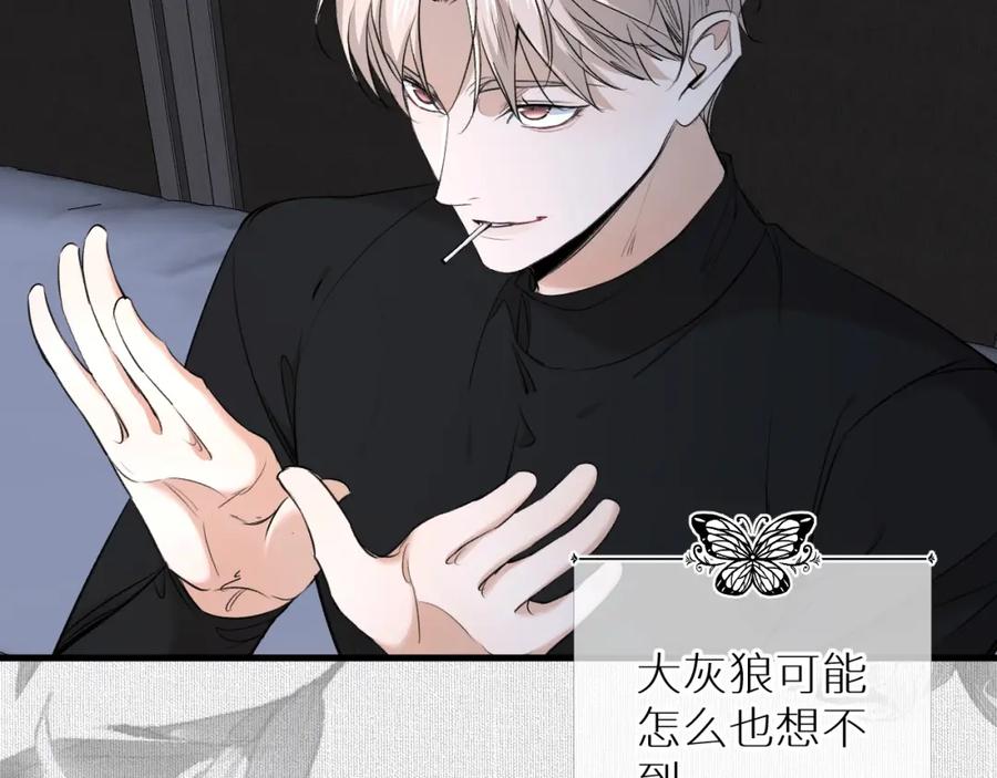 《零度触碰》第54话 大灰狼、小白兔与蝶 第37页