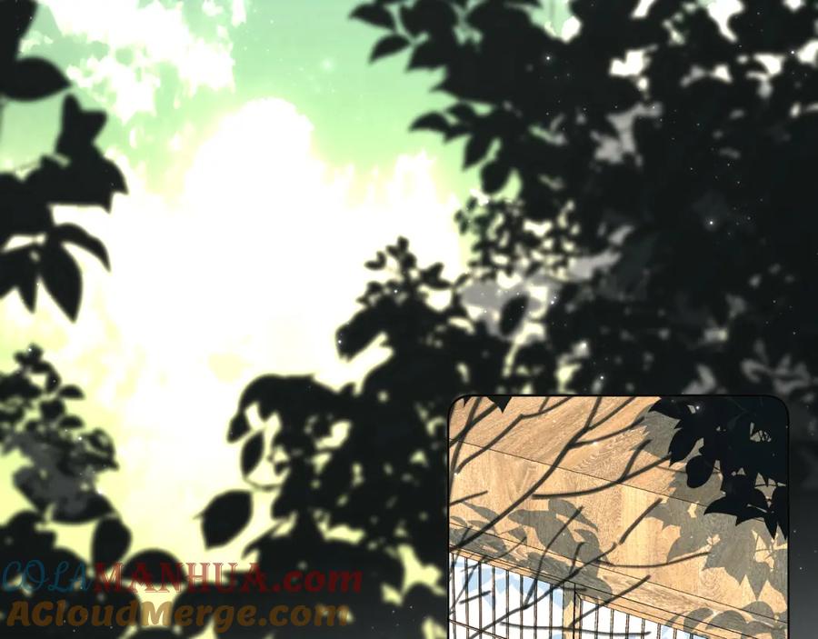 《零度触碰》第94话 记忆之殇 第5页