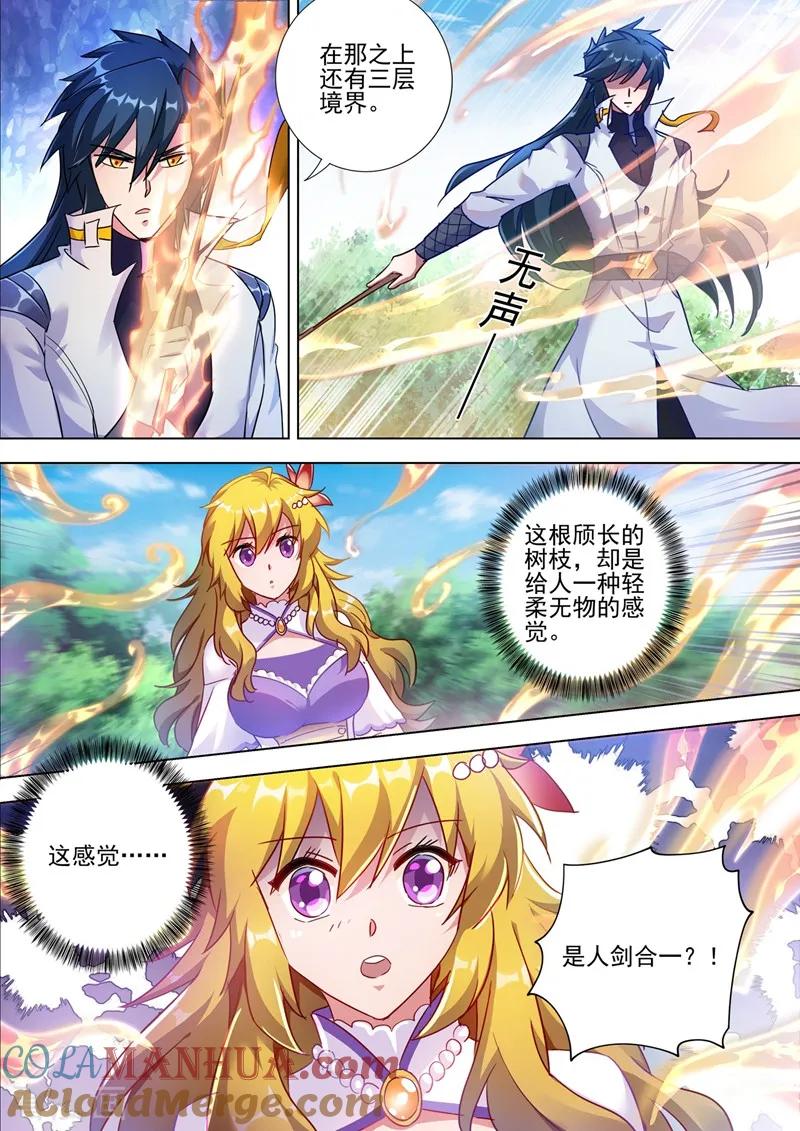 灵剑尊 第299话 人剑合一 第12页