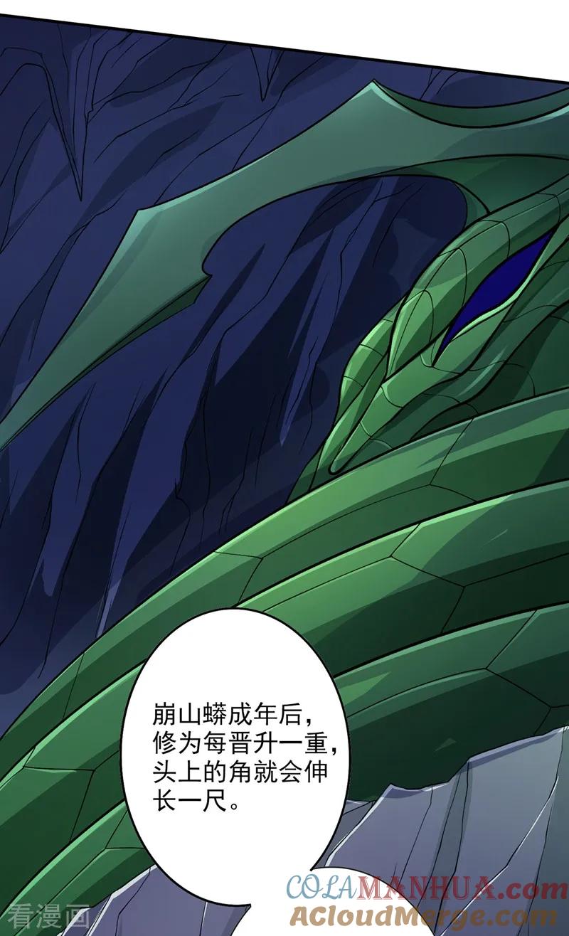 灵剑尊 第316话 将计就计调虎离山 第11页