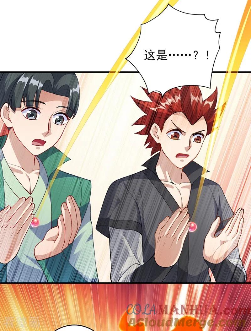 灵剑尊 第377话 洛云的亲传弟子 第27页