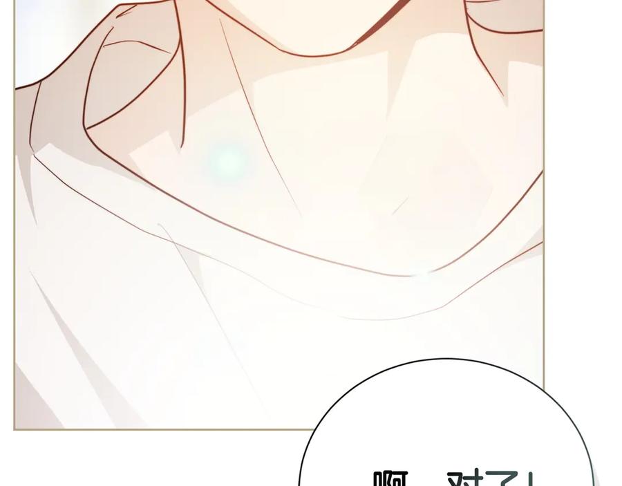 《零居关系》第67话 不会再回来了 第244页