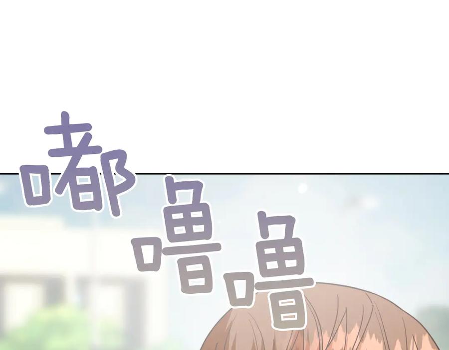 《零居关系》第68话 再见已是陌生人 第223页