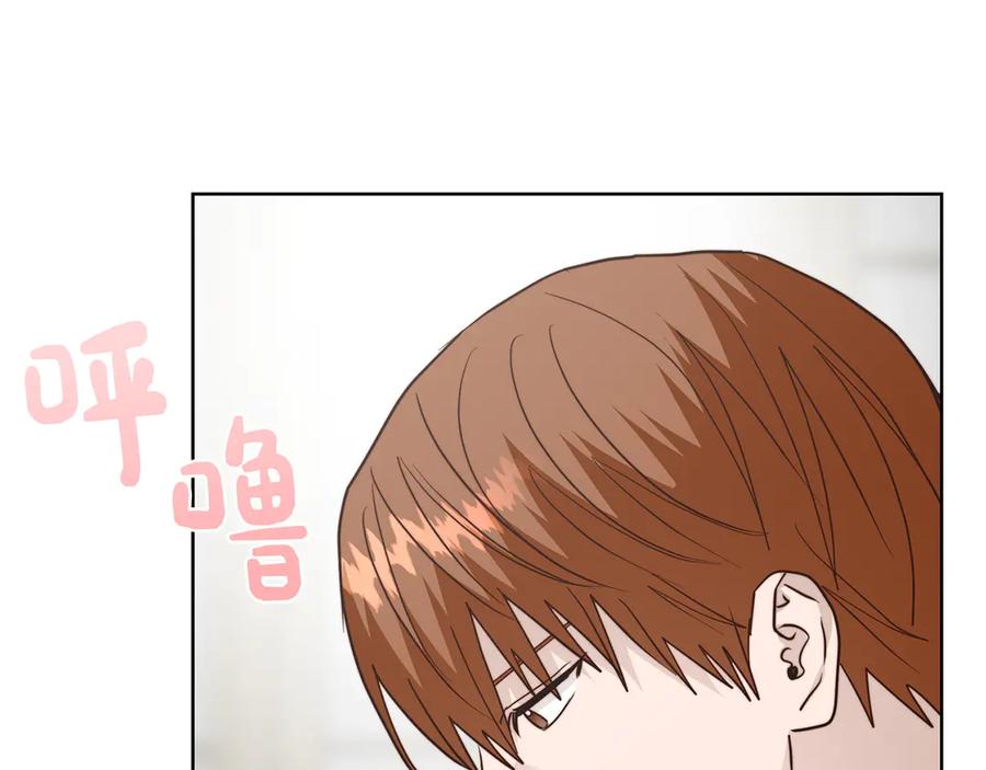 《零居关系》第68话 再见已是陌生人 第246页