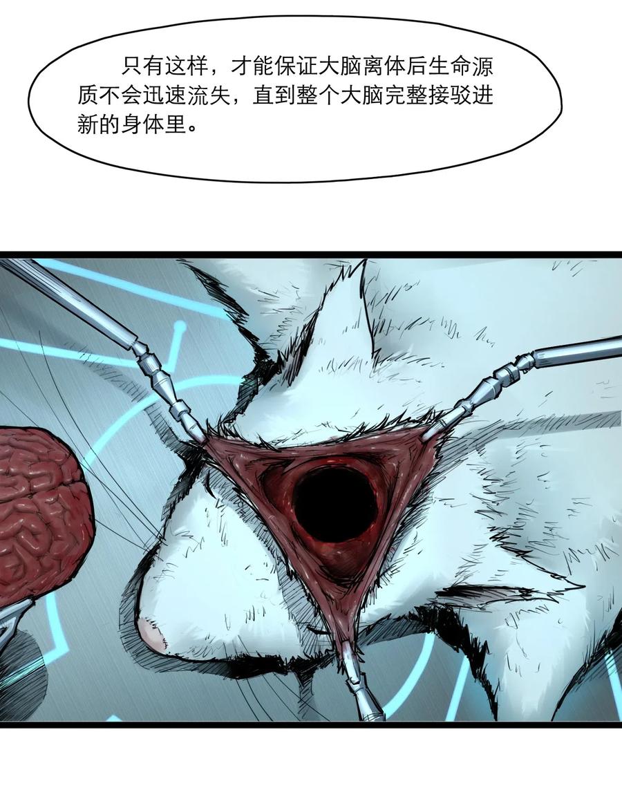 灵笼 · 月魁传 02话（上） 发布会 第39页