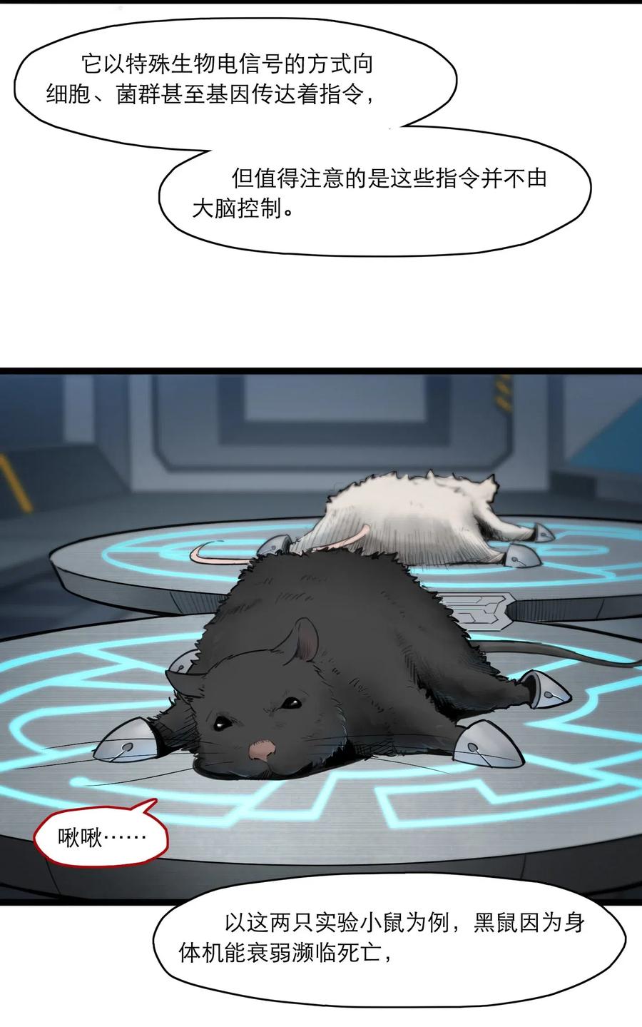 灵笼 · 月魁传 02话（上） 发布会 第32页