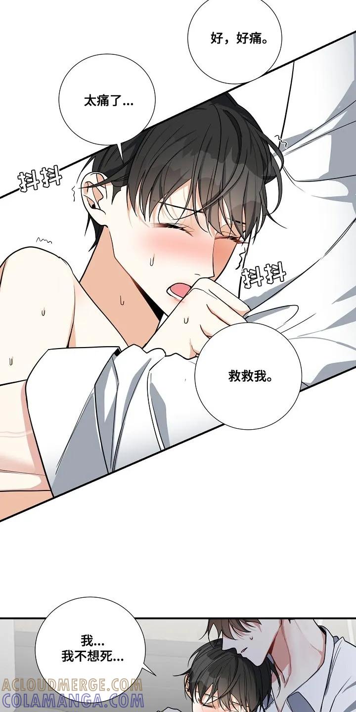 《狩猎之夜》第20章：太简单就没有意思了 第3页