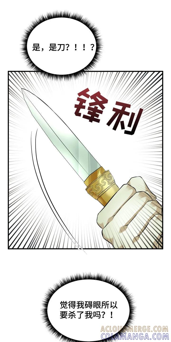 《教主宠妃》第39章：买命钱 第33页