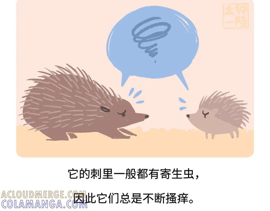 《胖达x胖达》第256话 第21页