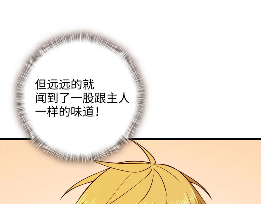 领主大人的金币用不完 - 第102话 家人 - 第115张图