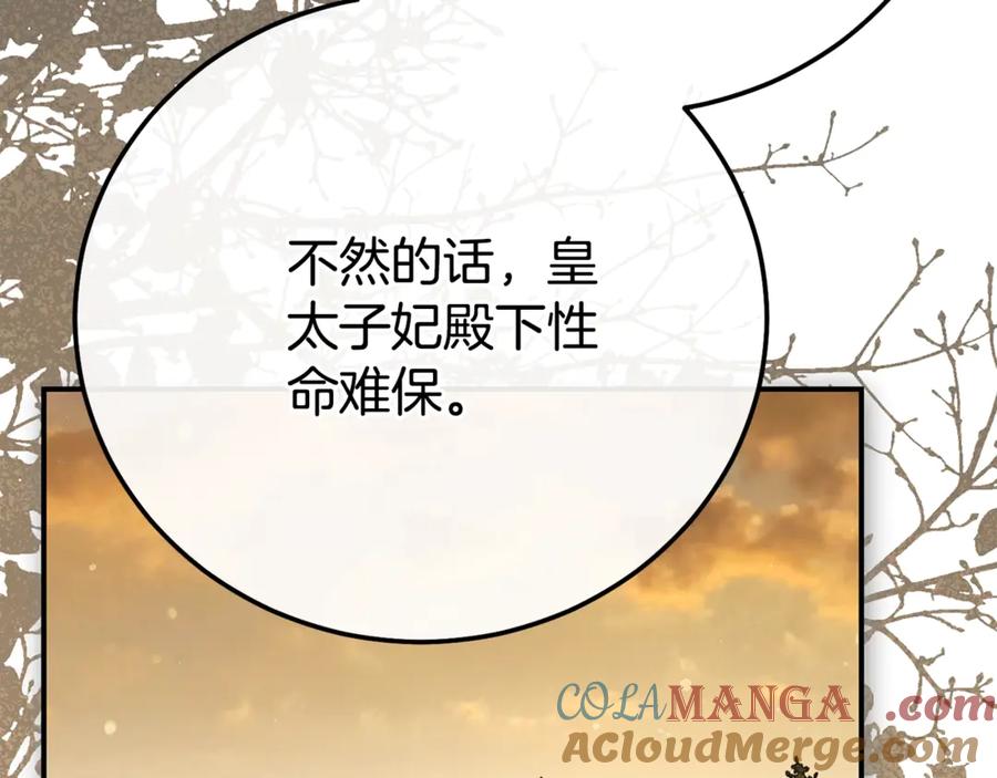 穿越成怪物太子的夫人 第36话 替代 第69页
