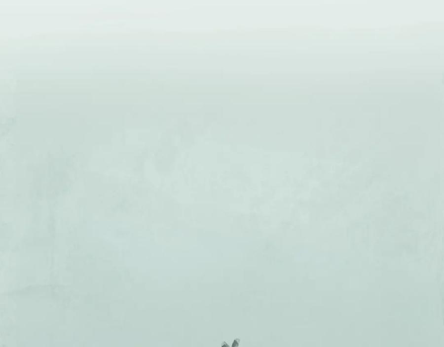 领主大人的金币用不完 - 第17话 点击习得武功 - 第50张图