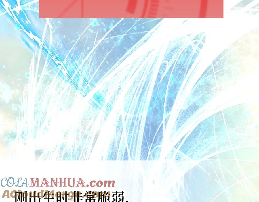 领主大人的金币用不完 - 第28话 行星级怪兽 - 第33张图