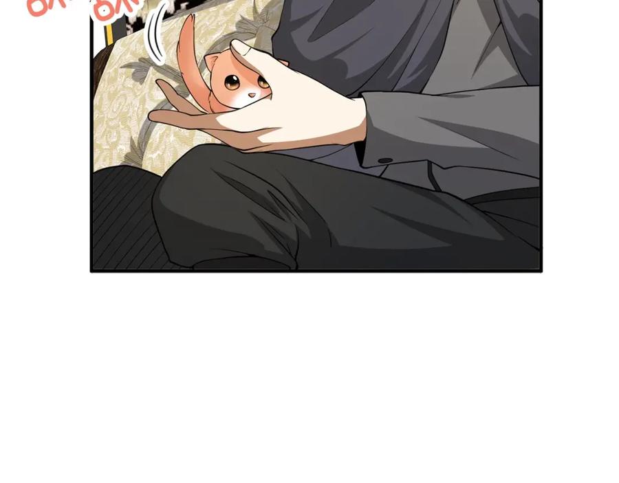 领主大人的金币用不完 - 第30话 宠物贴贴 - 第19张图