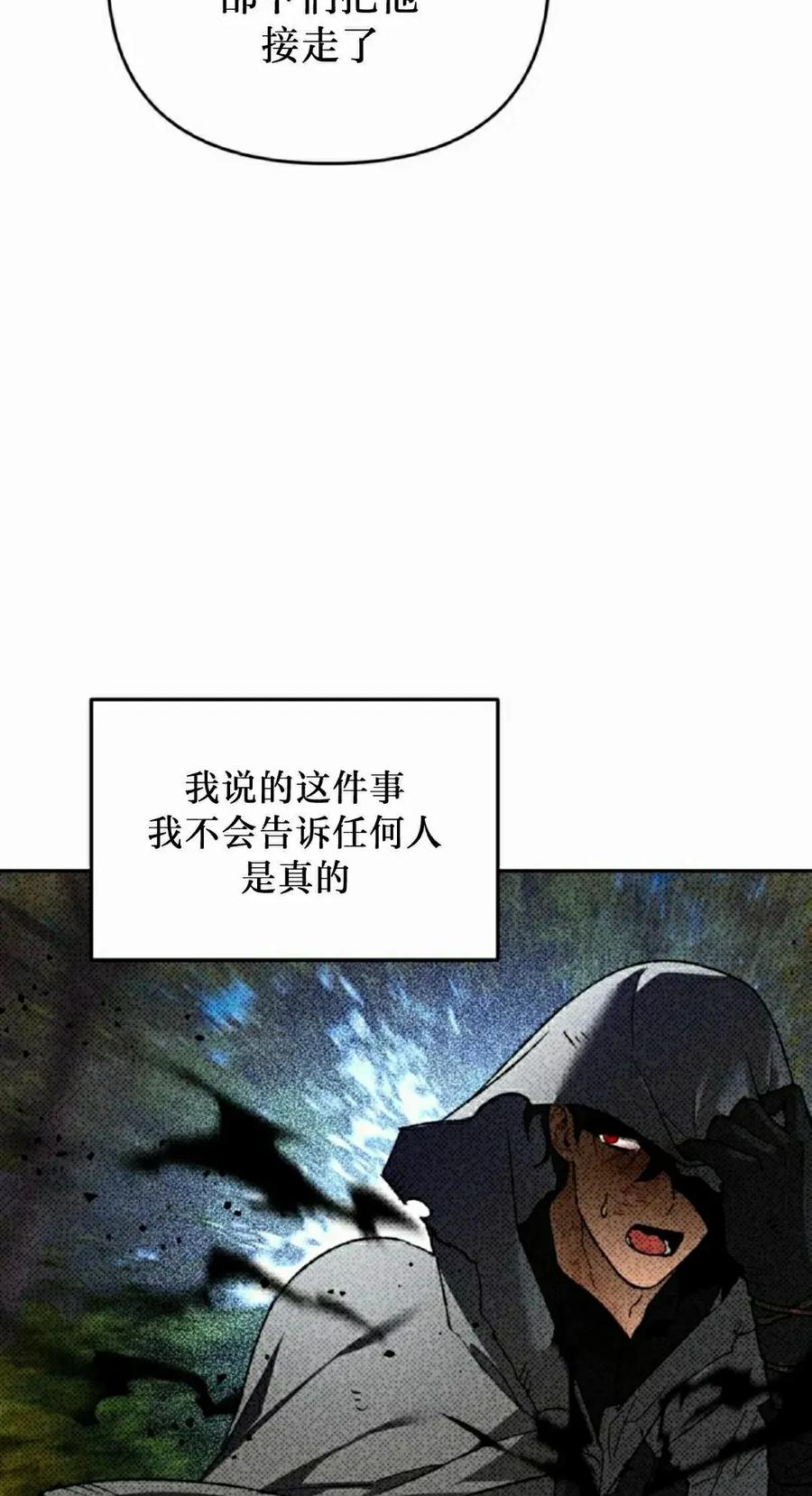 《重生为暗黑世家的天才恶少》第42集 第13页