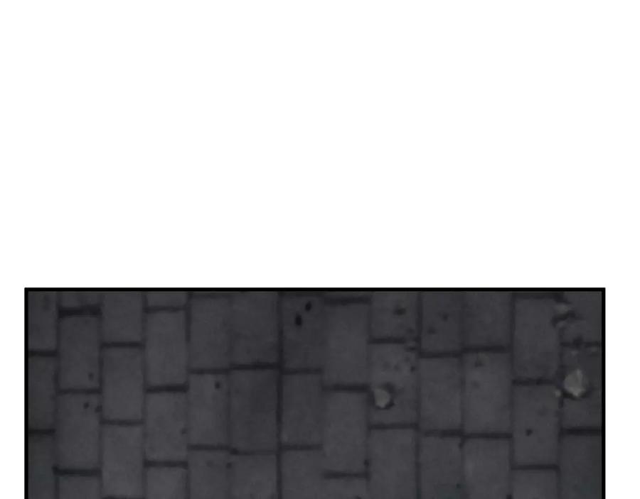 死灵法师：重生的我全技能精通 - 第63话 高兴的还太早 - 第208张图