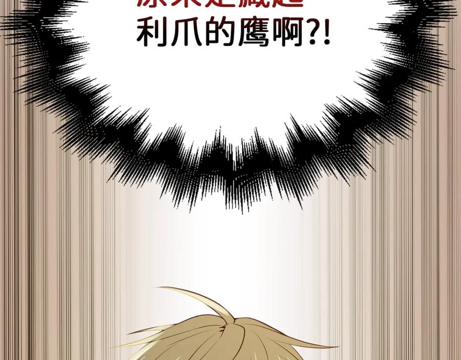 领主大人的金币用不完 - 第69话 藏起利爪的鹰 - 第215张图