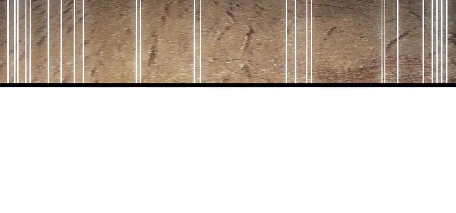 领主大人的金币用不完 - 第75话 飞上俱乐部 - 第82张图