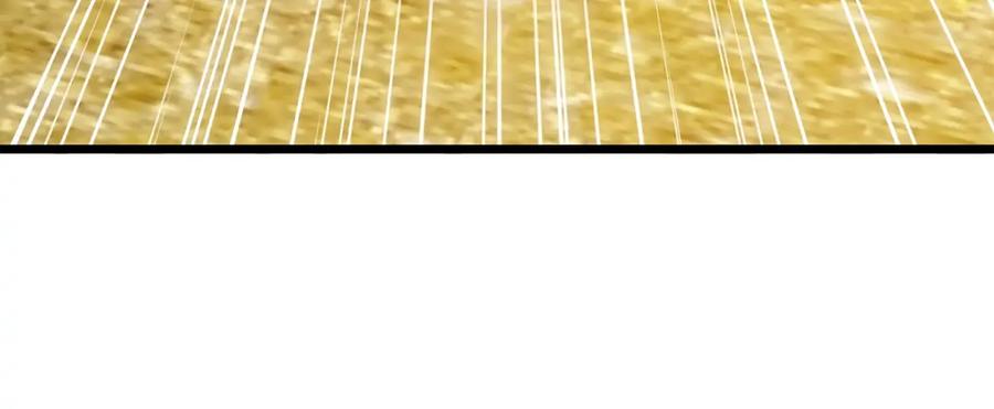 领主大人的金币用不完 - 第81话 连战四轮！ - 第192张图