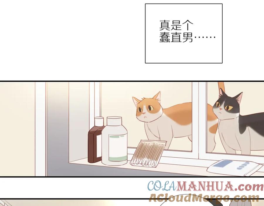 《邻家弟弟太难管啦》第6话 猫咪纹身 第49页