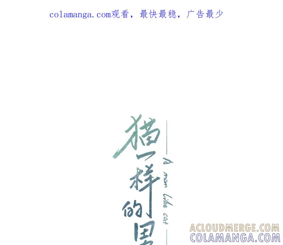 猫一样的男人 第76话 我不再爱你了 第1页