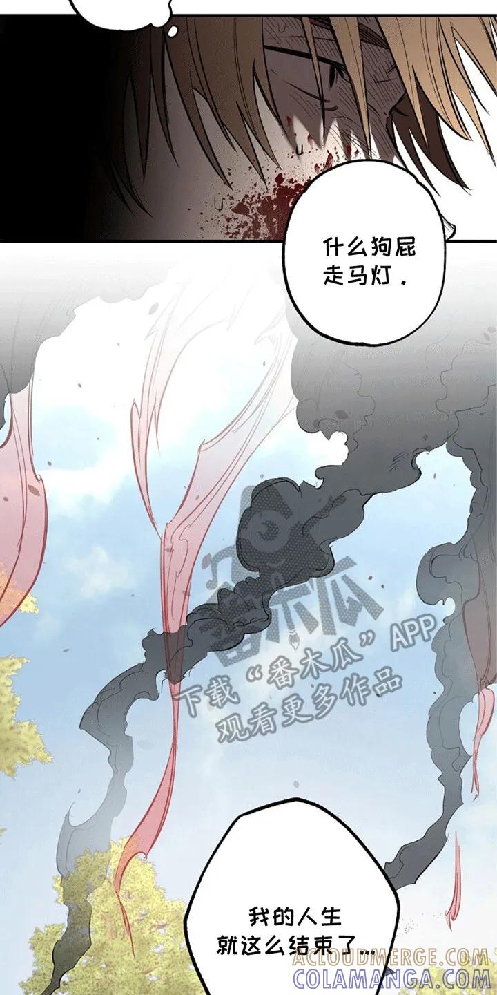 《重生在五年之后》第1章：殉职 第11页