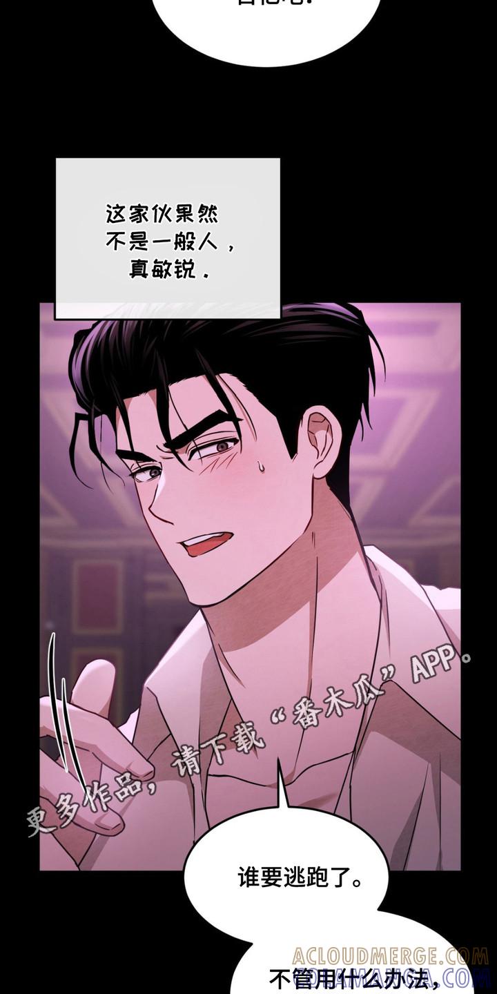 《赌城陷阱》第10章：使眼色 第11页