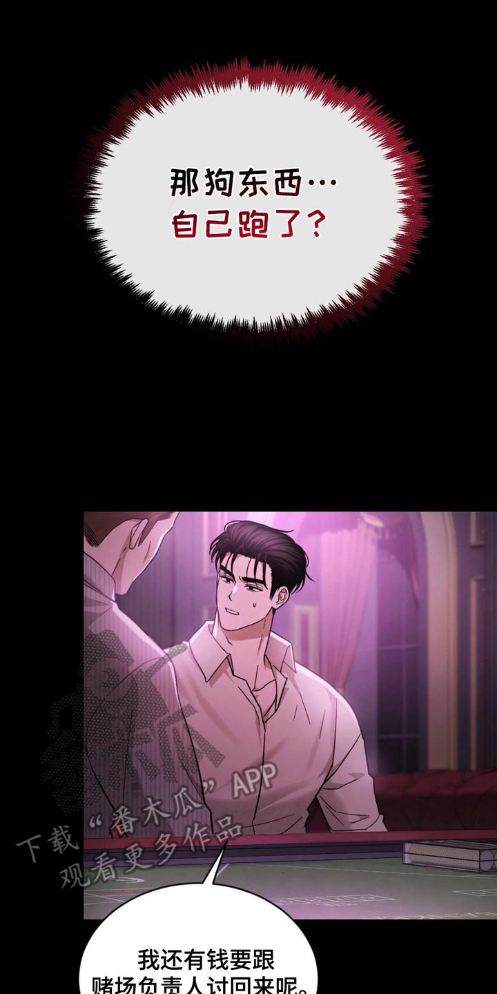 《赌城陷阱》第11章： 被卖了 第20页