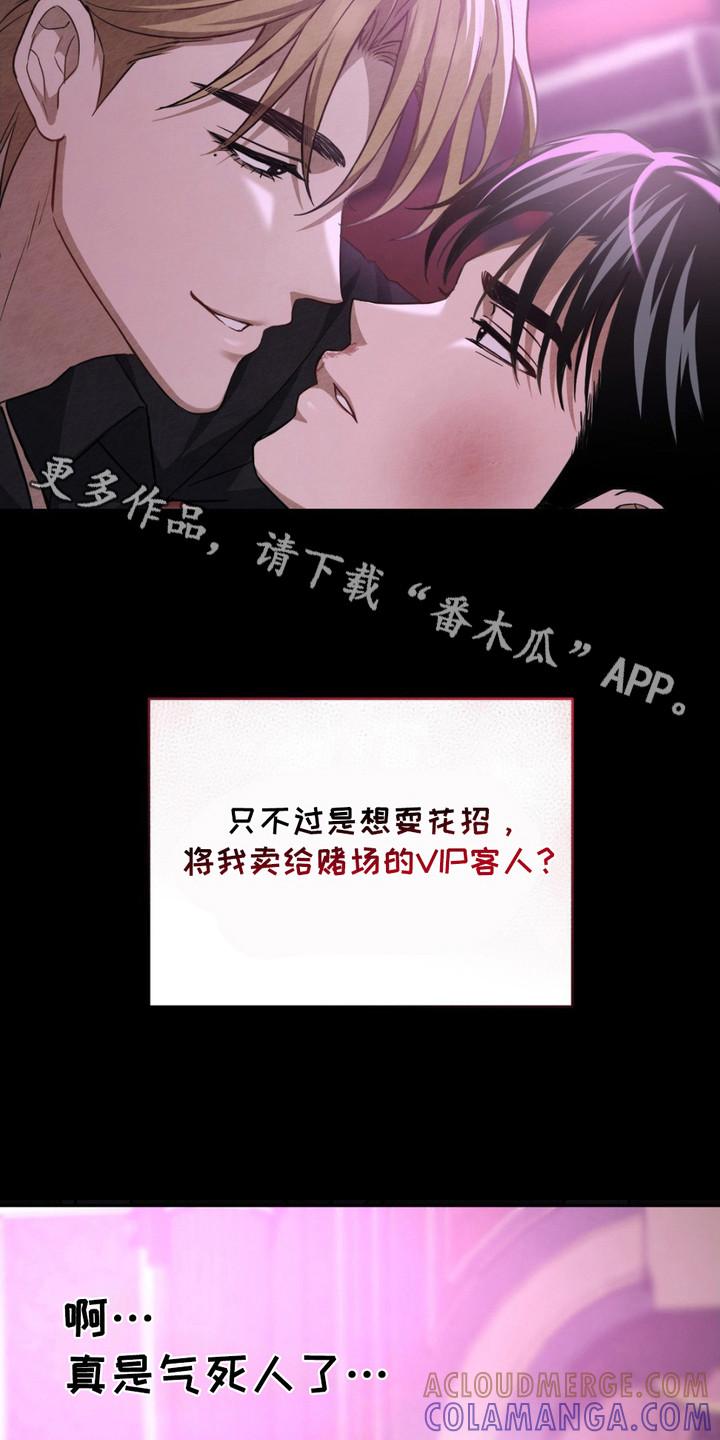 《赌城陷阱》第12章：反抗 第5页