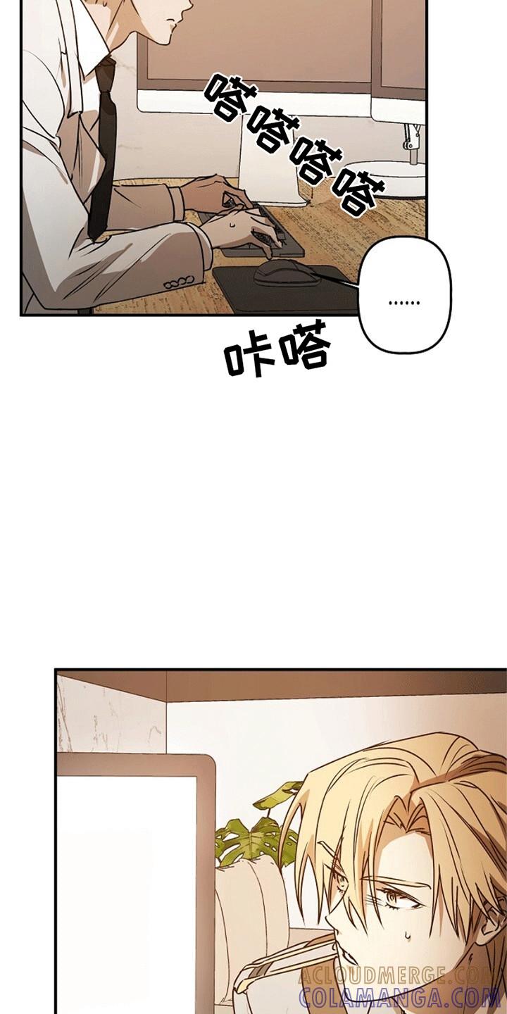 《重生在五年之后》第12章：证明 第17页