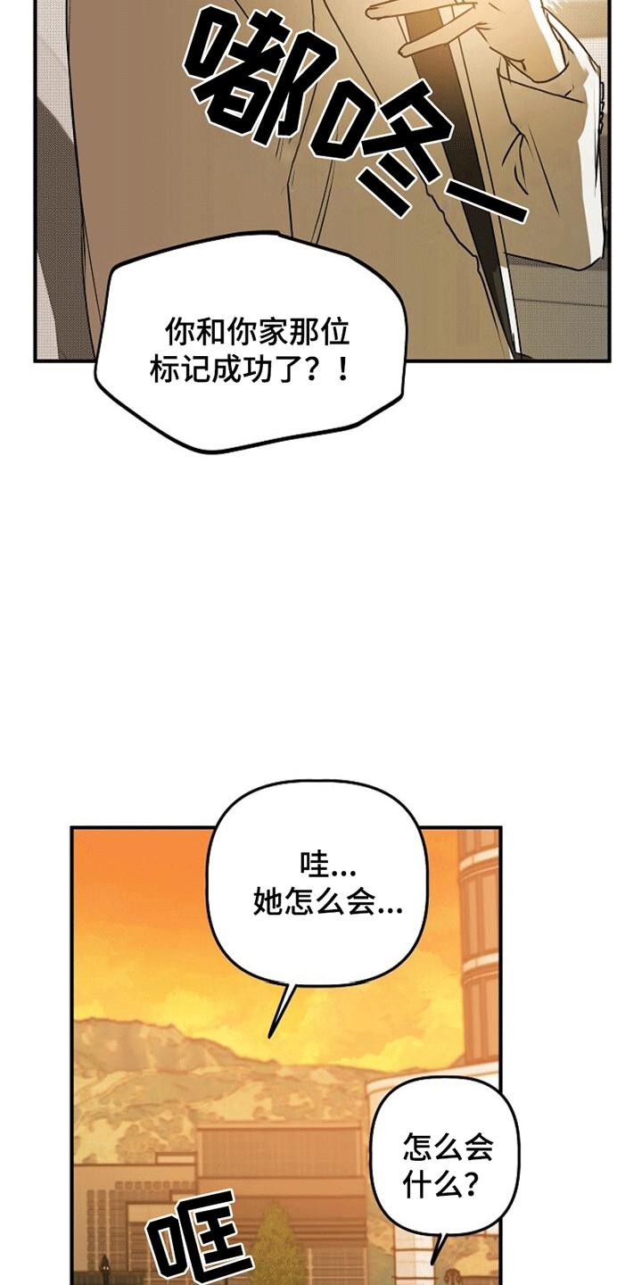 《重生在五年之后》第15章：忽悠 第16页