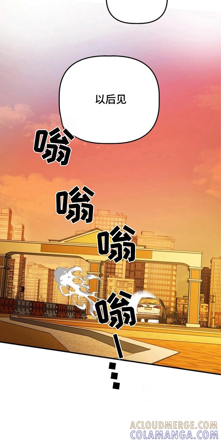 《重生在五年之后》第16章：奇怪的账户 第13页