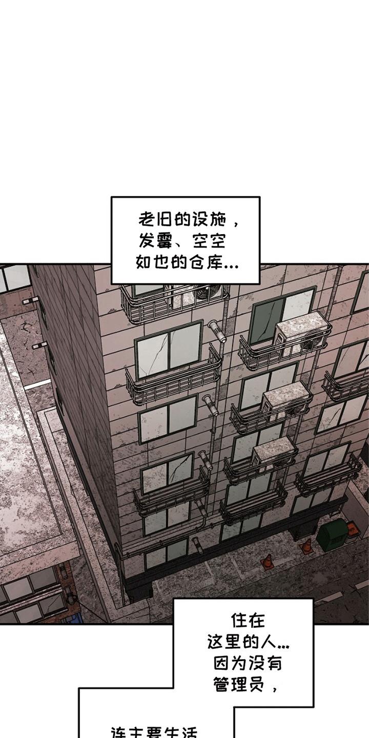 《重生在五年之后》第16章：奇怪的账户 第18页
