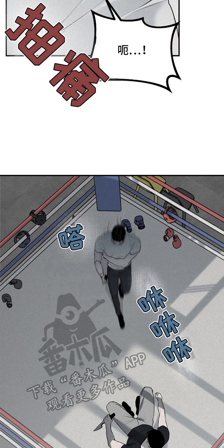 《负罪缩影》第20章：擂台 第14页
