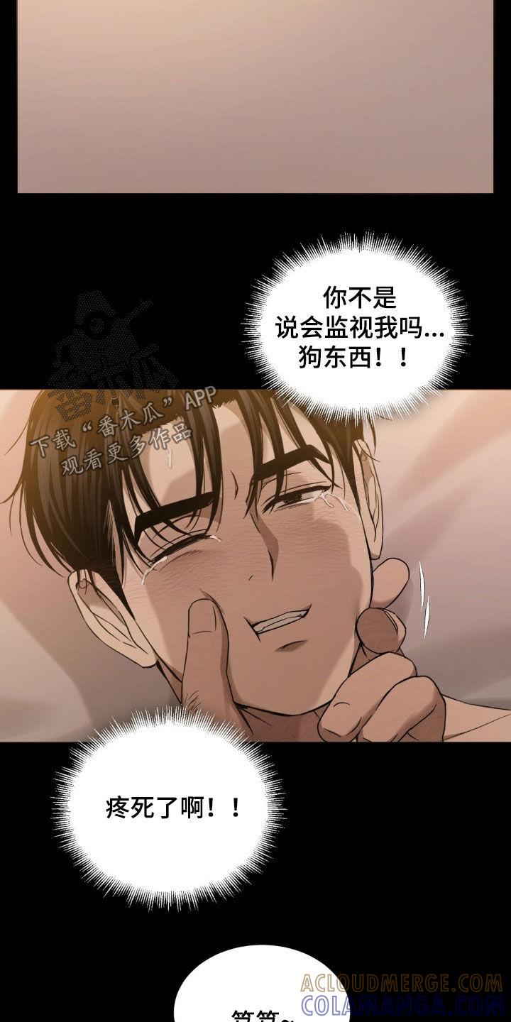 《赌城陷阱》第21章：你好可爱呀 第13页