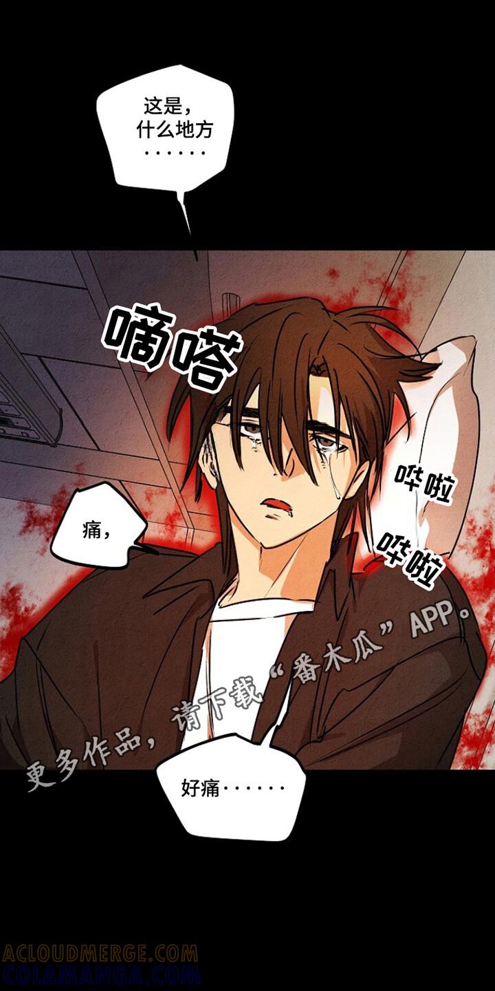 《重生在五年之后》第25章：不允许的苏醒 第27页