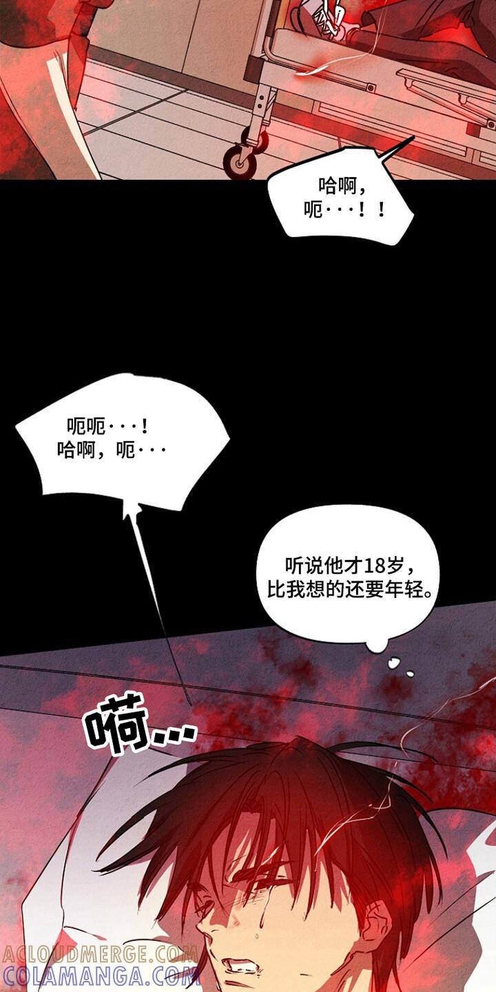 《重生在五年之后》第25章：不允许的苏醒 第11页