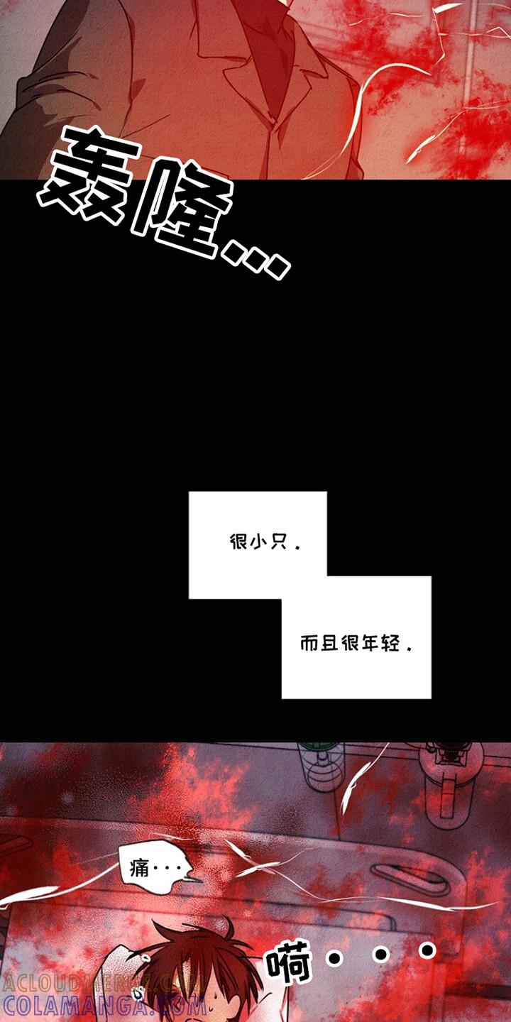 《重生在五年之后》第25章：不允许的苏醒 第13页