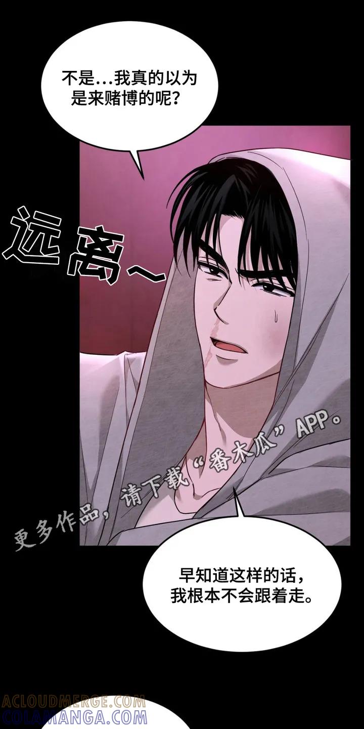 《赌城陷阱》第4章：拽走 第11页