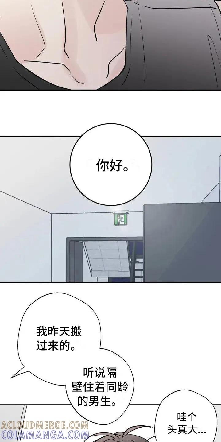 《邻居攻略》第4章：新邻居 第3页